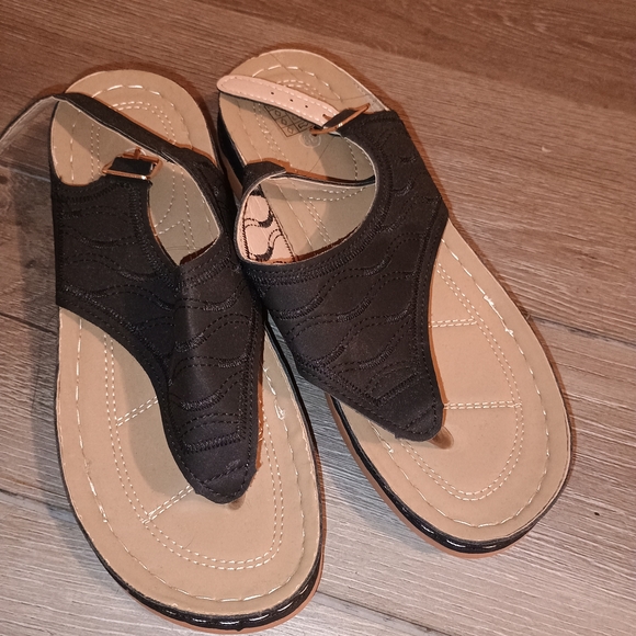 None Shoes - Chic Dark Brown and Tan Sandals